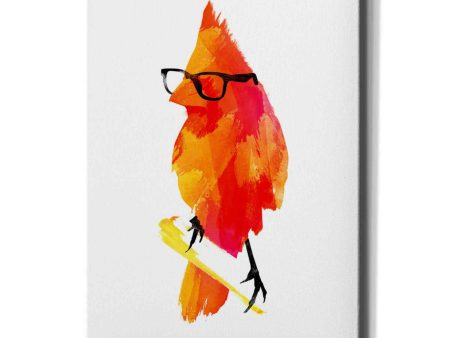 Punk Bird  by Robert Farkas, Canvas Wall Art on Sale