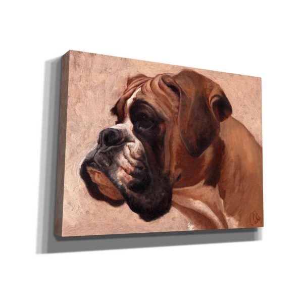 Boxer  by Thomas Fluharty, Canvas Wall Art Online