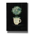 Growing in Grace  by Annie LaPoint, Canvas Wall Art Fashion