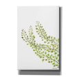 Green Bliss  by Jessica Mingo, Canvas Wall Art Cheap