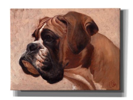 Boxer  by Thomas Fluharty, Canvas Wall Art Online