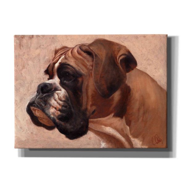 Boxer  by Thomas Fluharty, Canvas Wall Art Online