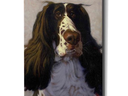 Springer  by Thomas Fluharty, Canvas Wall Art Online Sale