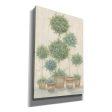 Tall Topiaries  by Annie LaPoint, Canvas Wall Art Hot on Sale