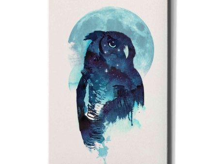 Midnight Owl  by Robert Farkas, Canvas Wall Art Online now