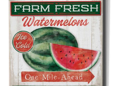 Watermelon Farm  by Mollie B, Canvas Wall Art For Discount