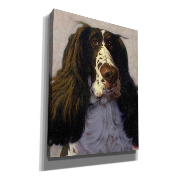 Springer  by Thomas Fluharty, Canvas Wall Art Online Sale