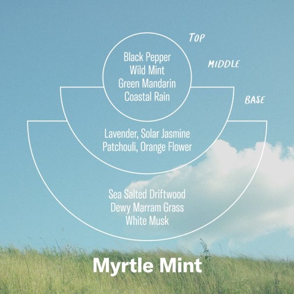 Myrtle Mint– Candle Discount