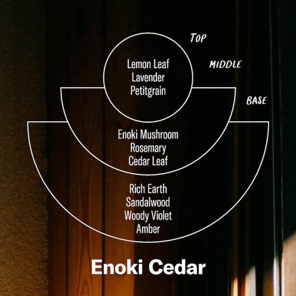 Enoki Cedar– Candle Sale