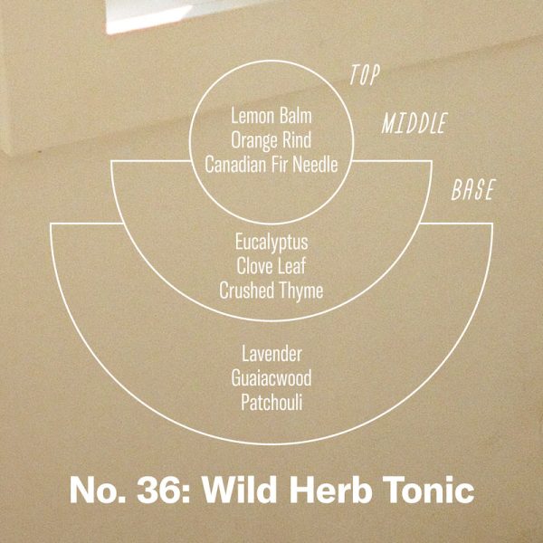 Wild Herb Tonic– Standard Candle on Sale