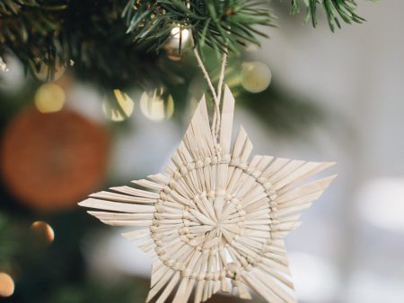 Pathi Grass Star Ornament For Cheap