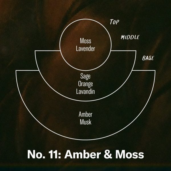 Amber & Moss– Large Concentrated Candle Discount