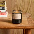 Enoki Cedar– Candle Sale