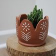 Petal Planter with Drainage Discount