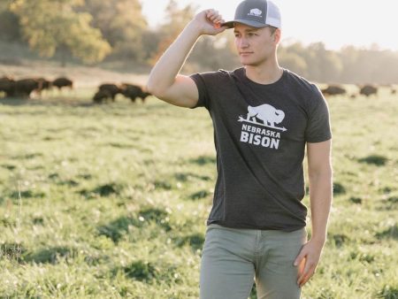 Nebraska Bison Avatar Hat (Adult) Online