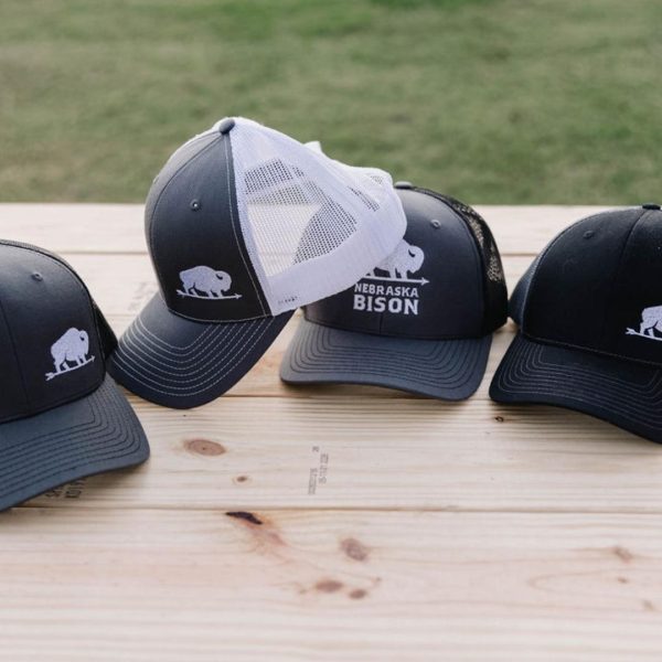 Nebraska Bison Avatar Hat (Adult) Online