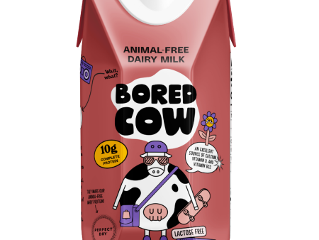 Bored Cow - Chocolate Animal-Free Dairy Milk Online Hot Sale